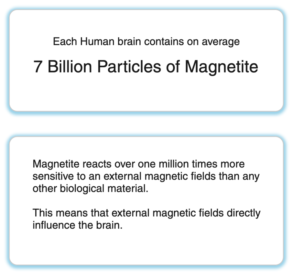 Image with text: 'Each Human brain contains on average 7 billion particles of magnetite